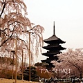 京都‧東寺