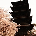 京都‧東寺