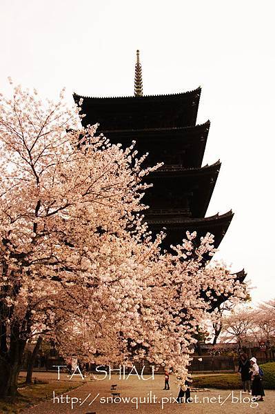 京都‧東寺