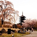 京都‧東寺