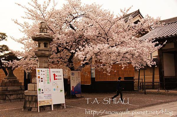 京都‧東寺