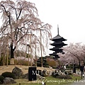 京都‧東寺