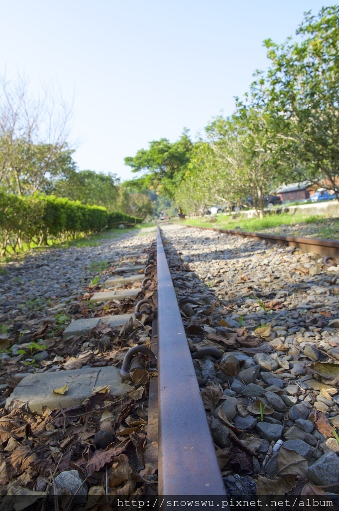 DSC_3643.jpg DSC_3643.jpg