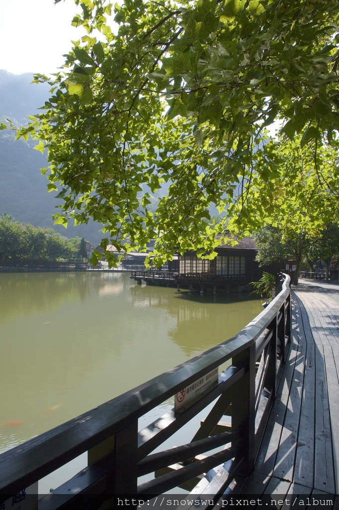 DSC_3701.jpg DSC_3701.jpg