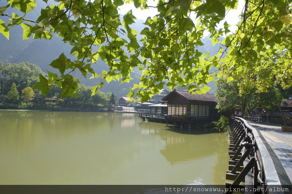 DSC_3703.jpg DSC_3703.jpg