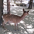 IMAG2553.jpg