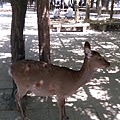 IMAG2555.jpg