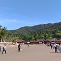 IMAG2565.jpg