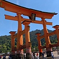 IMAG2572.jpg