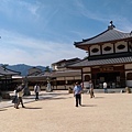IMAG2602.jpg