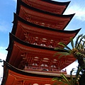 IMAG2609.jpg