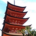 IMAG2610.jpg