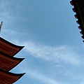 IMAG2611.jpg