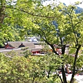 IMAG2619.jpg