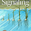 science signaling期刊封面