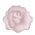 rose.gif