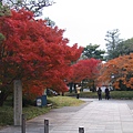 宇治～平等院