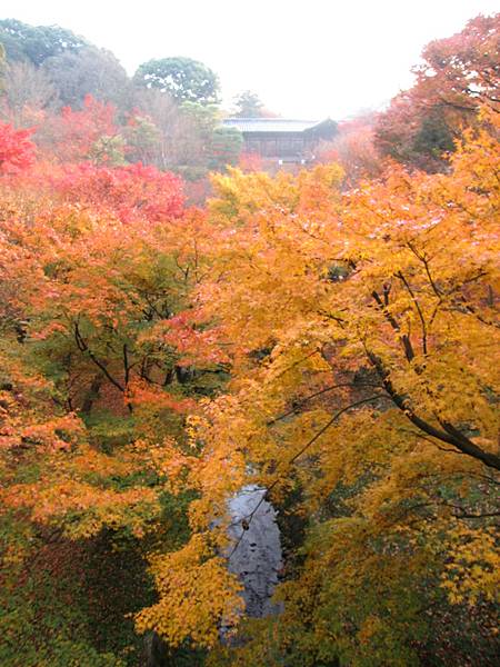 宇治～東福寺