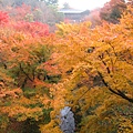 宇治～東福寺