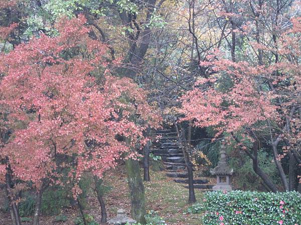 九州～仙巖園