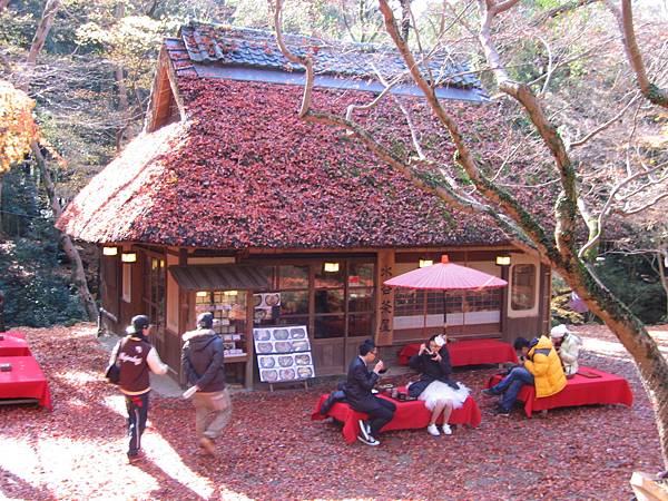 奈良～紅葉、檜皮屋與新娘