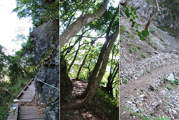 錐麓古道-步道.jpg