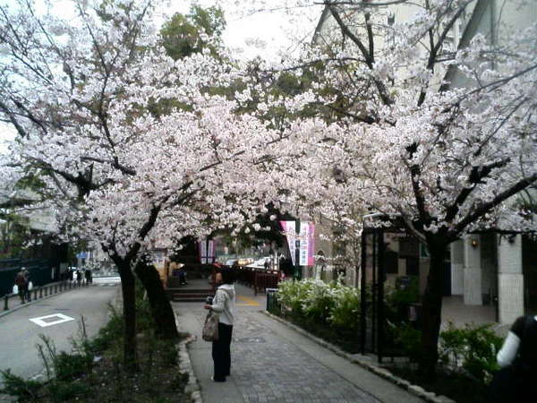 美麗的步道