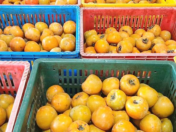 新竹 景點 季節限定陽光下金黃色柿海 金漢柿餅教育園區 薇soda漫遊趣 痞客邦 新竹 景點 季節限定陽光下金黃色柿海 金漢柿餅教育園區 薇soda漫遊趣 痞客邦