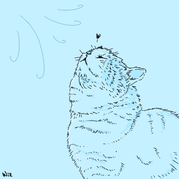 0523 長毛貓怕熱