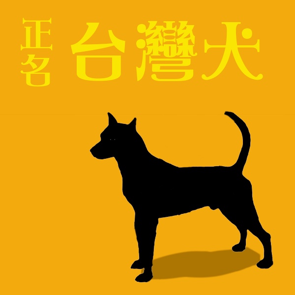 台灣犬