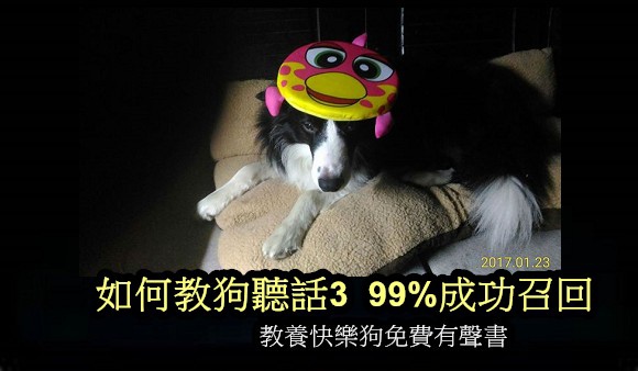 如何教狗聽話3 99%成功召回.jpg 如何教狗聽話3 99%成功召回.jpg