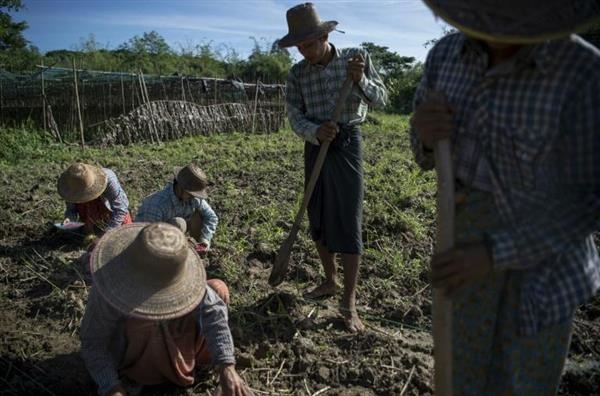 farmers-myanmar-benefit-new-3d-printed-tools-1.jpg