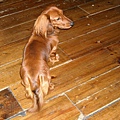 DSCN0141.JPG