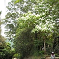 花園新城這頭多是上坡路