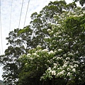 DSCN0103.JPG