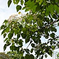 DSCN0105.JPG