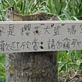 看來春天可以來賞櫻花