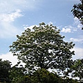 DSCN0124.JPG
