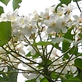 DSCN0117.JPG