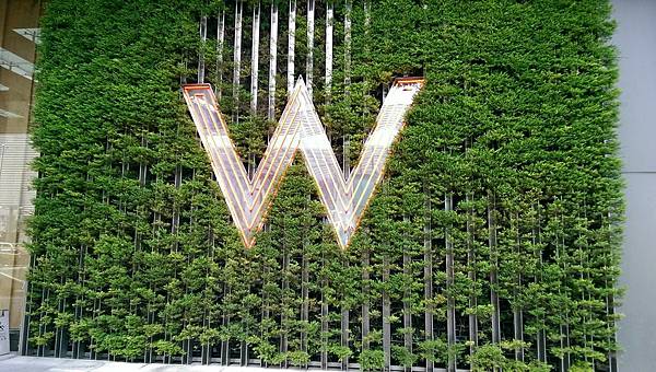 IMAG3393.jpg IMAG3393.jpg