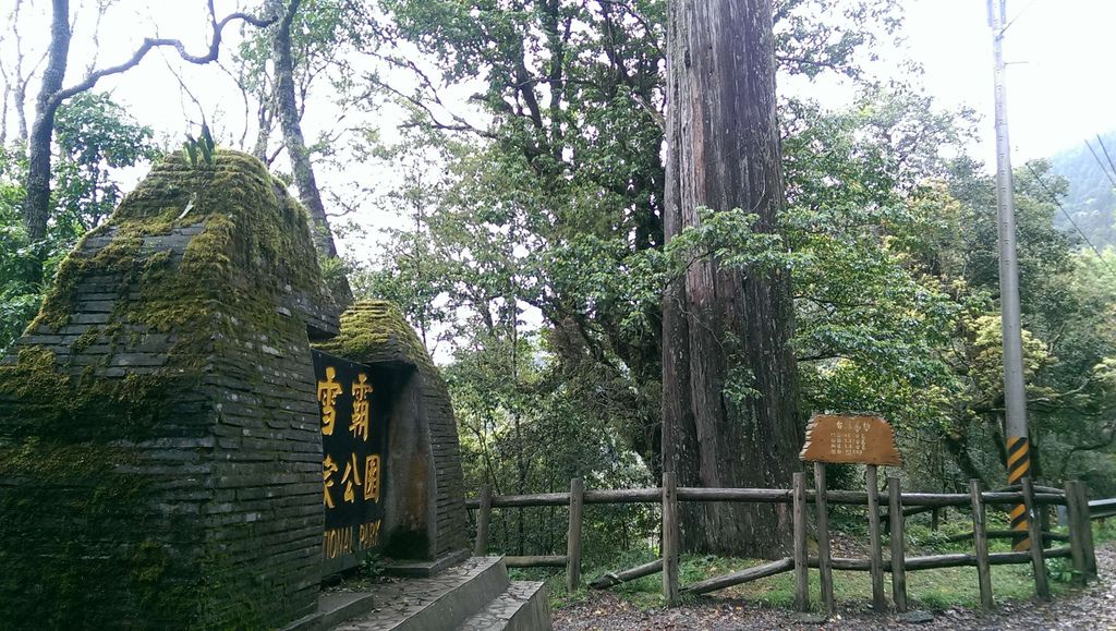 IMAG3295.jpg IMAG3295.jpg