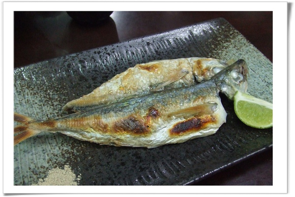 20091108 [內湖] 金泰食品有限公司-烤竹莢魚.jpg