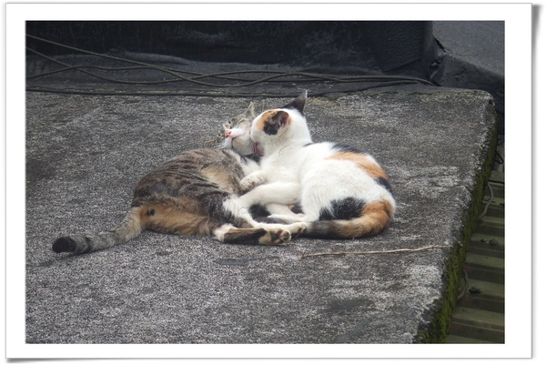 20100405 [基隆] 猴硐-32.jpg