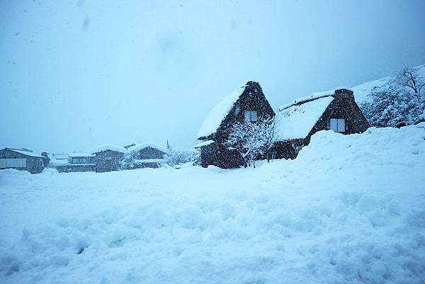 IMG_0871.JPG IMG_0871.JPG