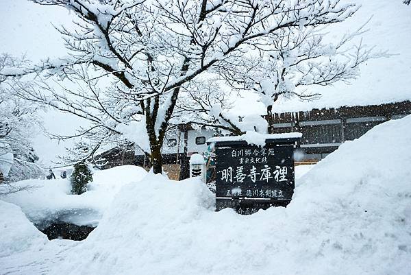 IMG_0874.JPG IMG_0874.JPG