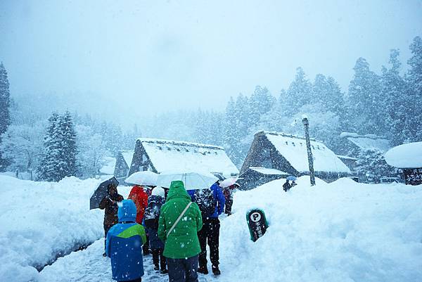 IMG_0872.JPG IMG_0872.JPG