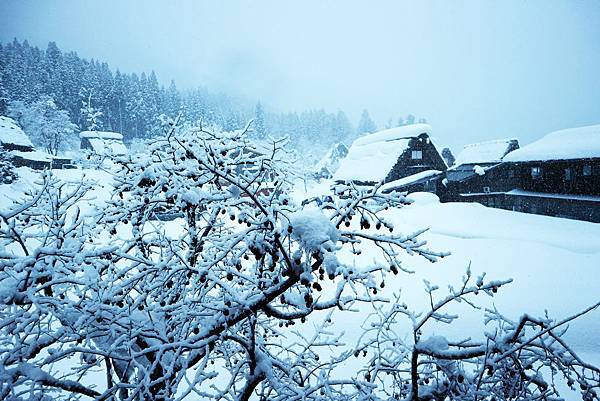 IMG_0906.JPG IMG_0906.JPG