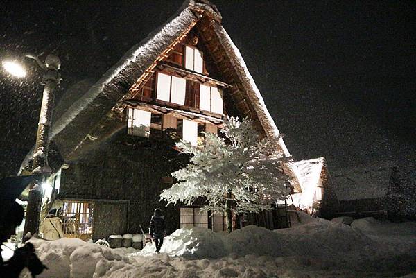 IMG_0956.JPG IMG_0956.JPG