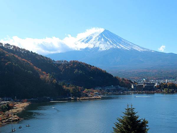 IMG_4391.JPG IMG_4391.JPG