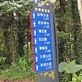 大山背16